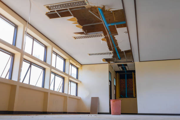 Best Flood damage cleanup  in Gate City, VA