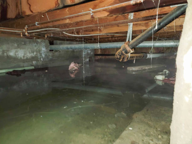 Best 24/7 water damage repair  in Gate City, VA