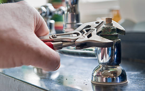 Best Mold removal after water damage  in Gate City, VA