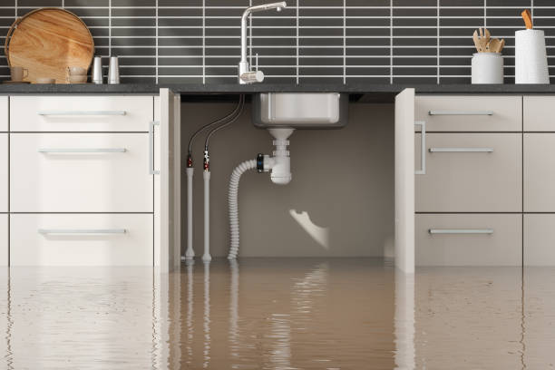 Best Water damage restoration near me  in Gate City, VA