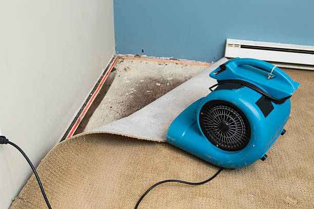 Trusted Gate City, VA Water damage restoration Experts